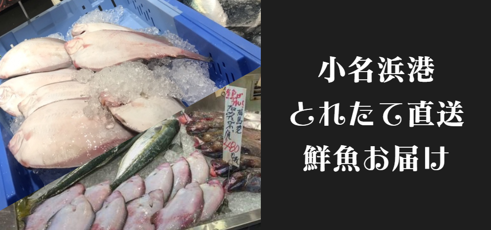 港直送鮮魚お届けサービス｜ご予約はお電話、店頭にて！和膳料理すし楓